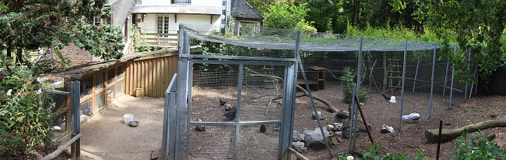 [6] pano, 100CANON, 5 images, IMG_3005 - IMG_3009 - 5741x1825 - SCUL-Smartblend.jpg - Diverses poules